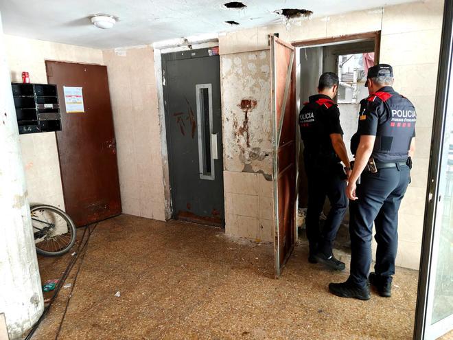 Tarragona'da Uyuşturucu Şebekesine Büyük Darbe: 7 Gözaltı ve Ekim Alanları Çökertildi