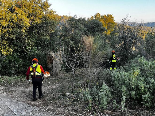 Gavà Mar'da Yangınlara Karşı 25 Metrelik Koruma Kuşakları: Katalonya'dan Öncü Hamle