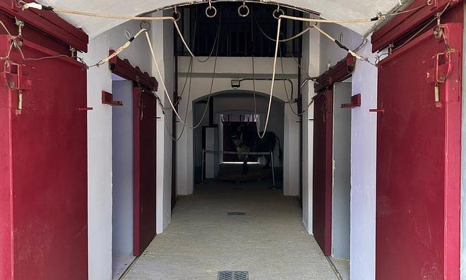 Málaga'da Boğa Arenası'nda Feci Kaza: Eski Matador Ricardo Ortiz Hayatını Kaybetti