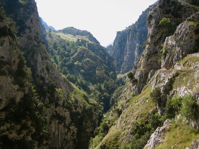 Asturias'taki Cares Yolu'nda Heyelan Dehşeti: Üç Dağcı Yaralandı, Biri Ağır