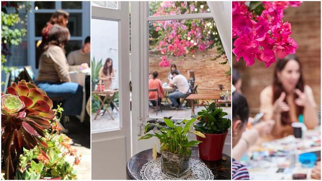 Barselona'nın Gizli Bahçesi: Kitaplar ve Begonvillerle Sarılı Bir Vaha