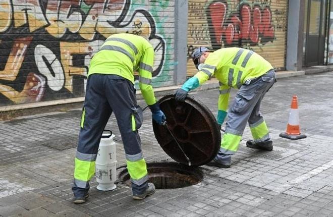 Badalona'da Yaz Gelirken Kemirgen ve Hamamböceği Alarmı: Belediyeden Yoğun Mücadele