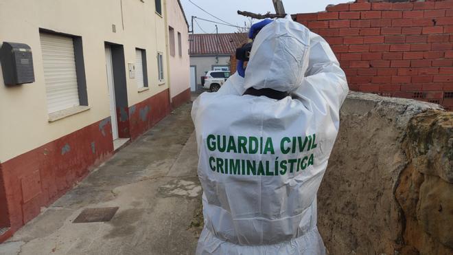 Zamora'da Kardeş Cinayeti Şoku: Komşular 'Delicesine Seviyorlardı' Dedi, İlaç Tedavisi