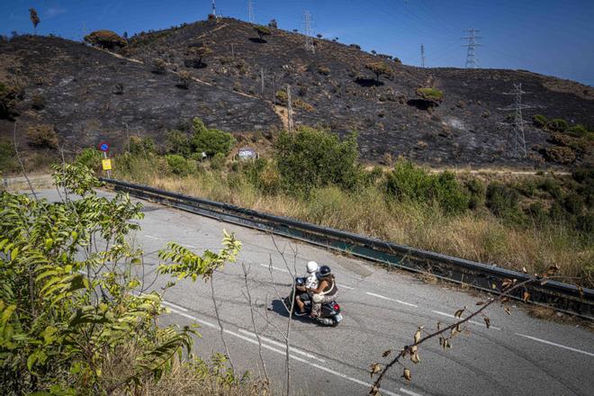 Barselona'nın Yeşil Akciğeri Collserola'da Yangın Alarmı: Radikal Önlemler Gündemde