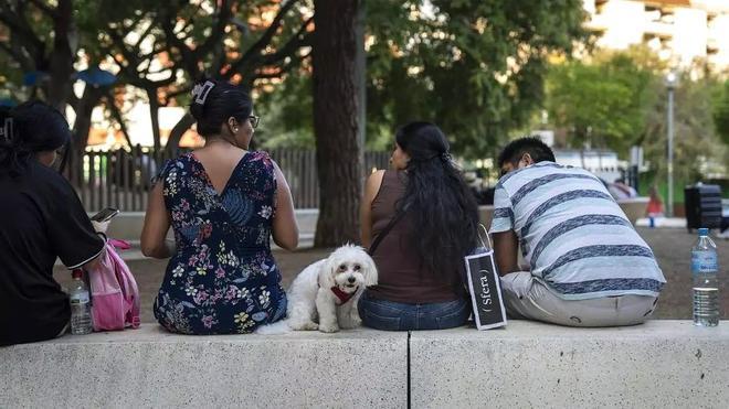 L'Hospitalet'te Çocuk Parklarına Gölgelik Kurulumu Başladı: İklim Değişikliğine Karşı Adım