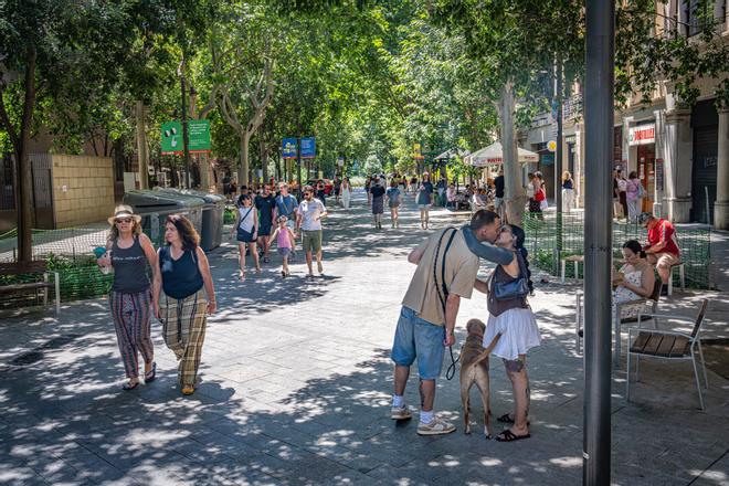 Barselona'nın Consell de Cent Caddesi'ndeki 'Yeşil Eksen', Ticari Kiraları %96 Artırdı