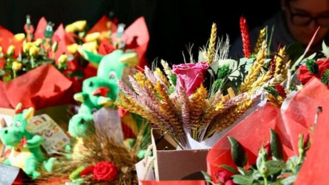 Sant Jordi 2026: Cornellà'da Kitap ve Güllerle Kültürel Şölen