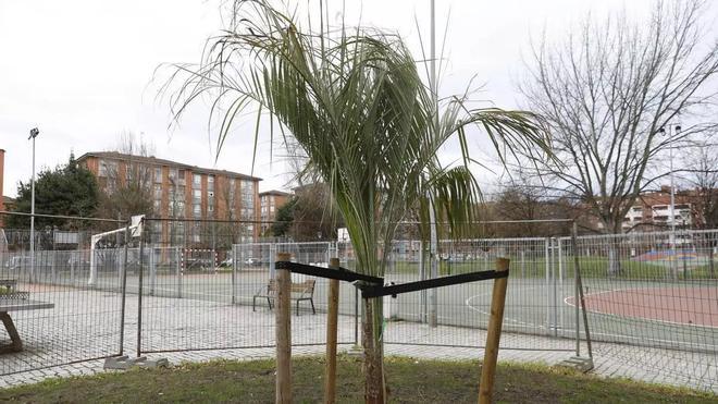 Gijón'daki Ölümle Sonuçlanan Saldırıda 19 Yaşındaki Zanlı Tutuklandı