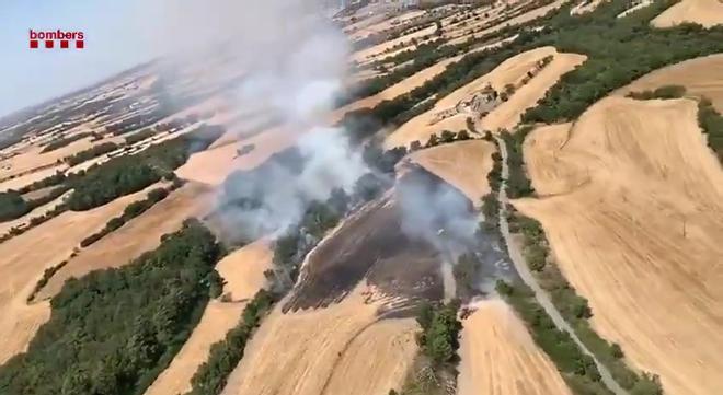 Barselona'da Tarım Yangını Kontrol Altına Alındı: İtfaiye ve Çiftçilerin İş Birliği