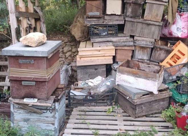 Katalonya'da Arı Kovanı Hırsızlığına Büyük Darbe: Çalıntı 100 Kovan Ele Geçirildi