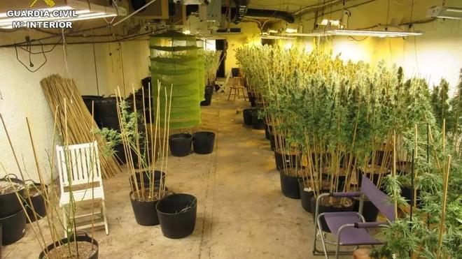 Alicante'de Yedi Sanığa Beraat: Yasadışı Arama Narkotik Operasyonunu Çökertti