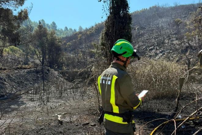 Tarragona'daki La Sénia'da Sant Joan Günü Yangını Kontrol Altında: 3 Hektar Kül Oldu