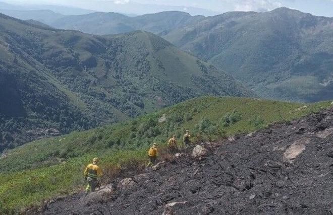 **El Bierzo'da Orman Yangını Alarmı: Pradela'daki Yangın Şiddetini Artırarak Yerleşim