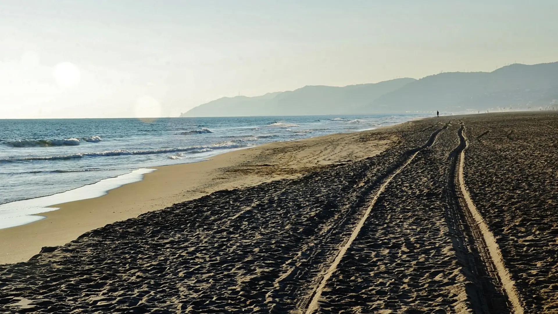 Barselona'nın Gizli Platosu: Netflix'in Gözde Dizisi "El cuerpo en llamas"ın Doğuşu