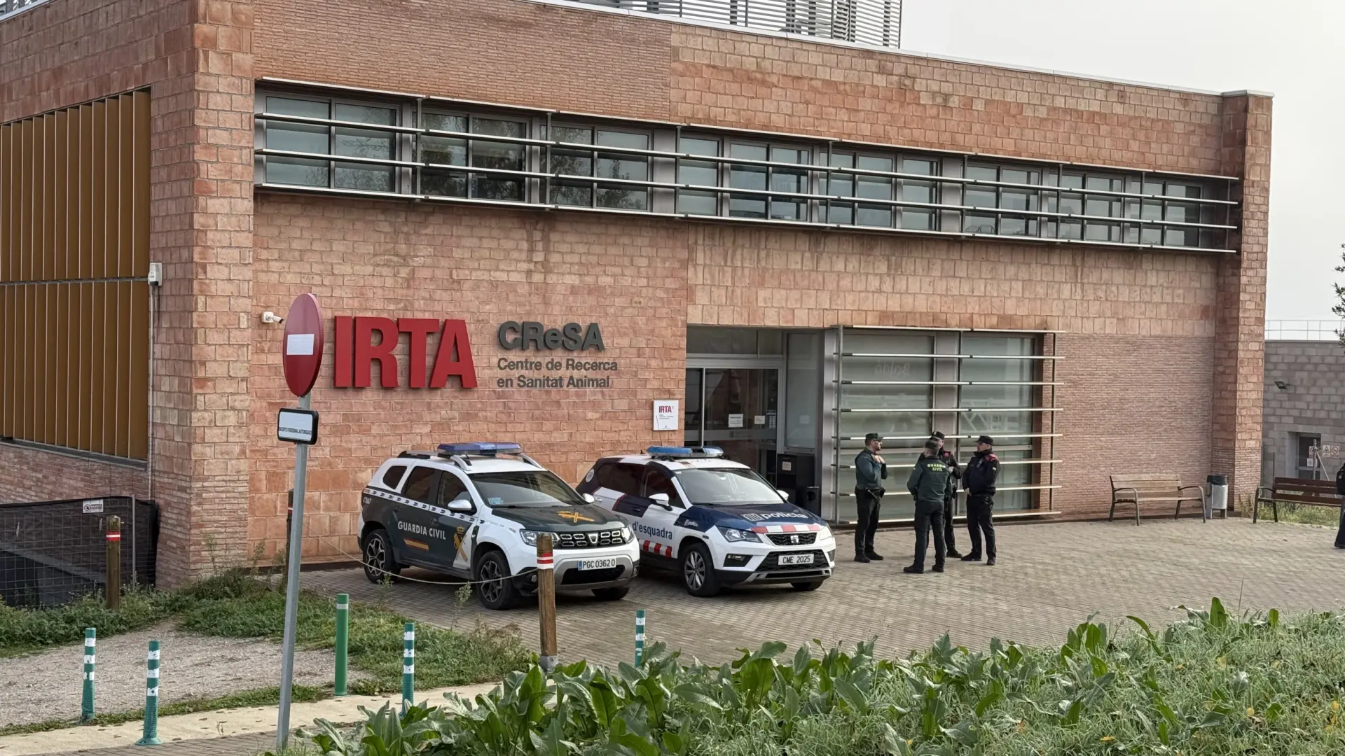 Barselona Domuz Vebası Salgını: IRTA-CReSA'ya İkinci Kez Baskın Düzenlendi