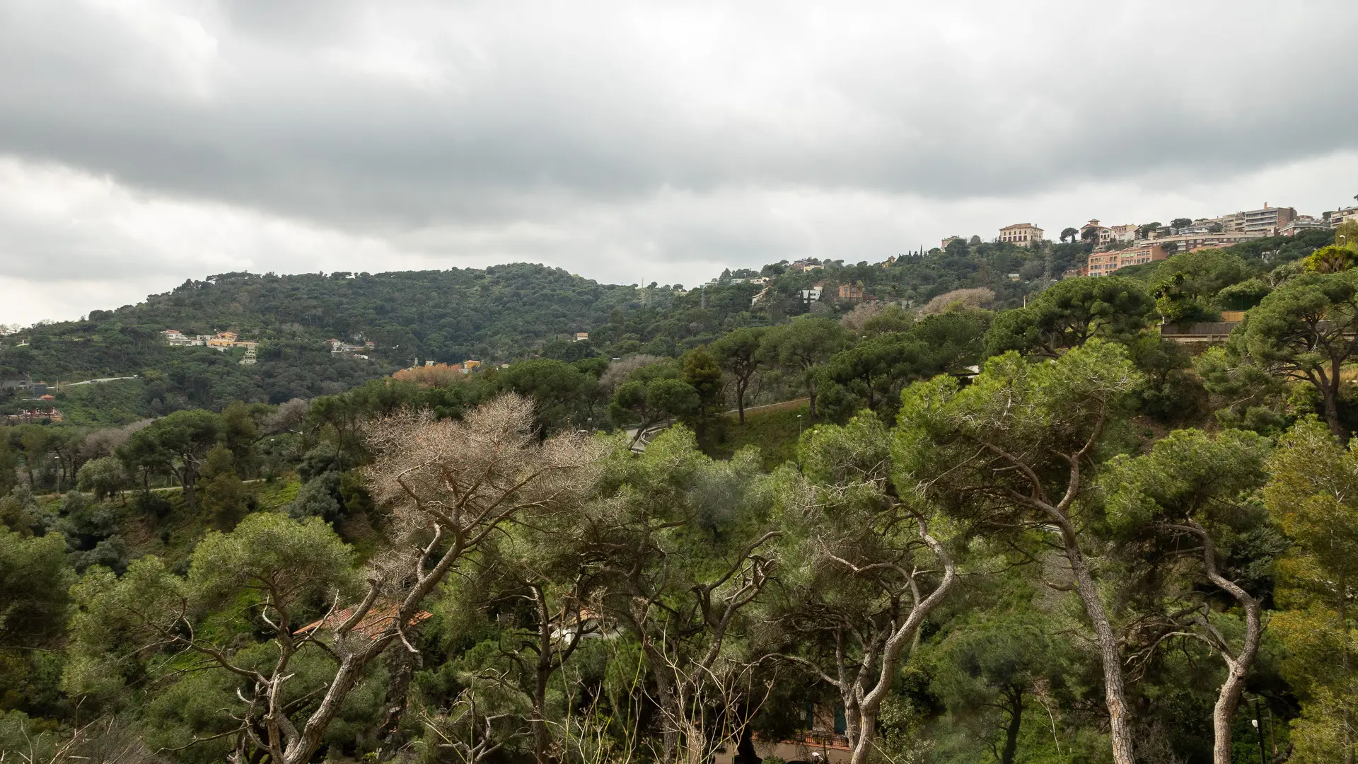 Barselona'nın Gizli Kalmış Mirası: Collserola'daki Terk Edilmiş Manastırın Hikayesi