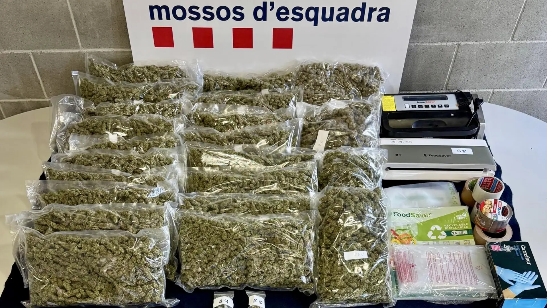 Barselona'da Dikkatsiz Sürüş, 12 Kilogram Marihuana Sevkiyatını Ortaya Çıkardı