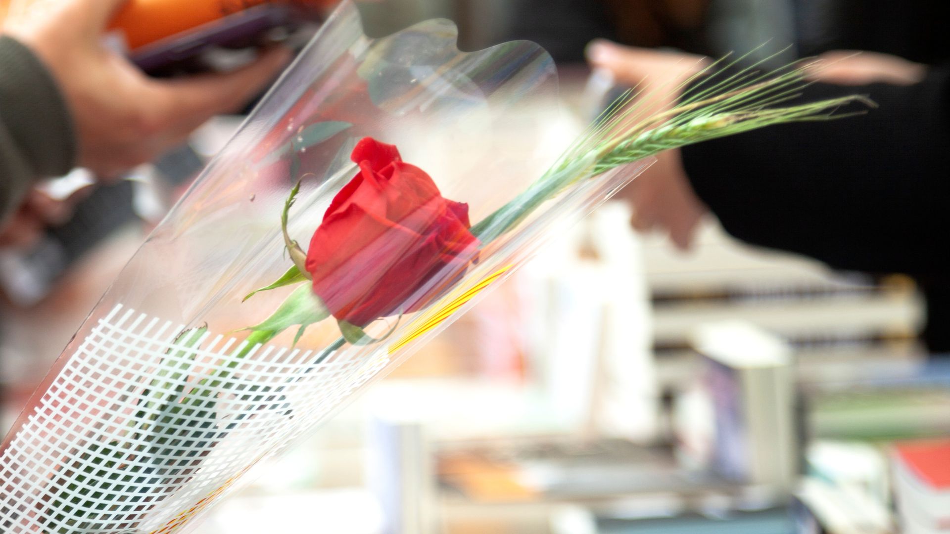 Sant Jordi 2026: Barselona'nın Sant Martí Bölgesinde Kültür ve Edebiyat Şöleni