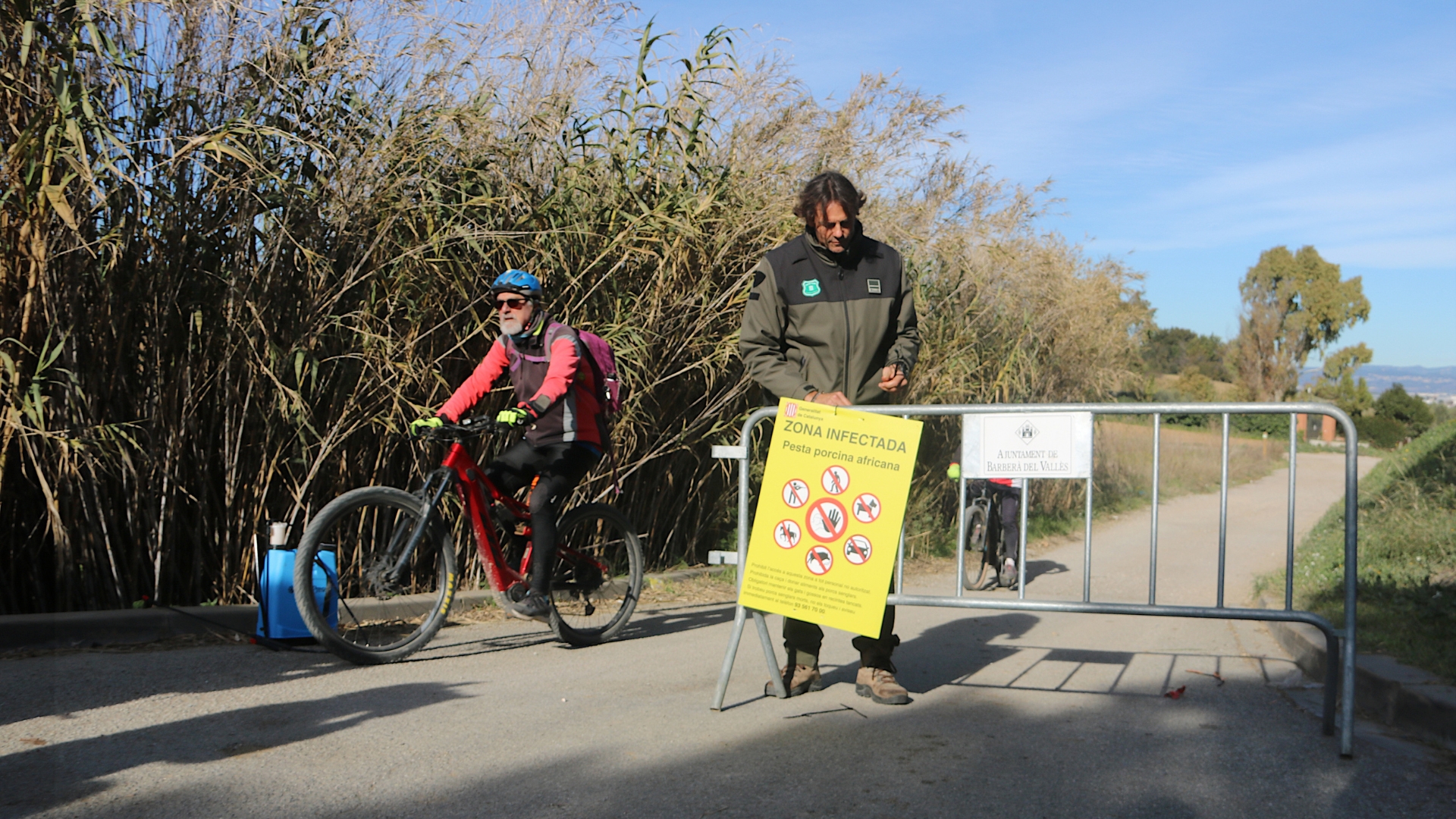 Barselona'nın Akciğeri Collserola Parkı'nda Domuz Vebası Alarmı: "Daha Fazla Pozitif