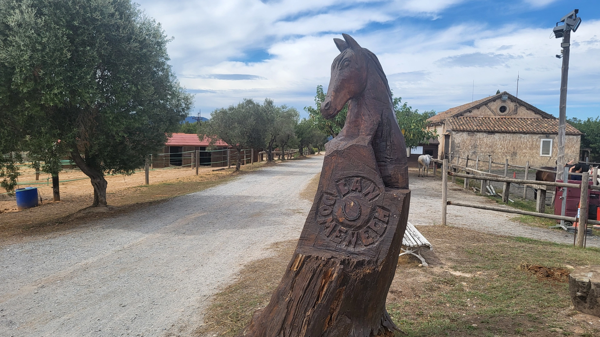 Can Domènech: Mandó Domatesinden Eşeklerle Yangınla Mücadeleye Sürdürülebilir Miras