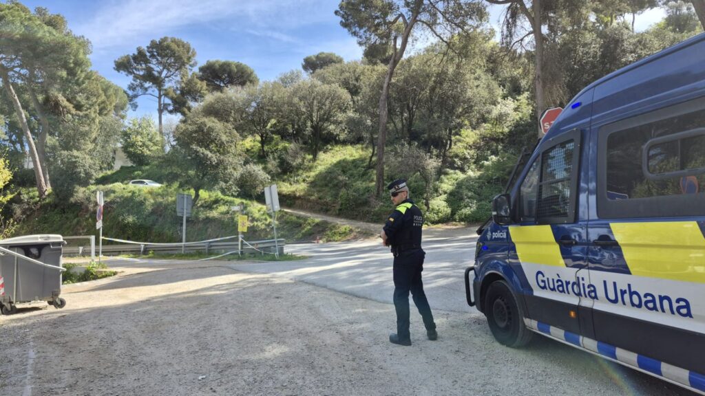 Collserola'da Afrika Domuz Vebası Restoranları Vurdu: Paskalya'da Müşteri Kaybı