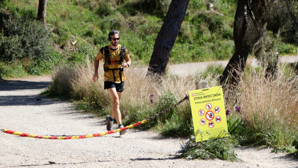 Afrika Domuz Vebası'na Rağmen Collserola Parkı'na Erişim Talebi: Barselona'da Doğa