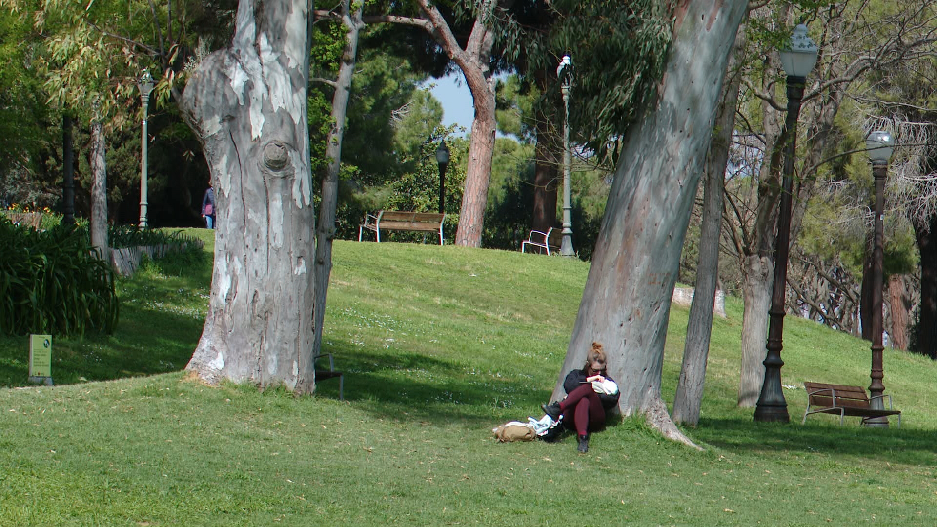 Barselona'da Yeşil Bir Kış Mirası: Şehir Parkları Yağışlarla Canlandı