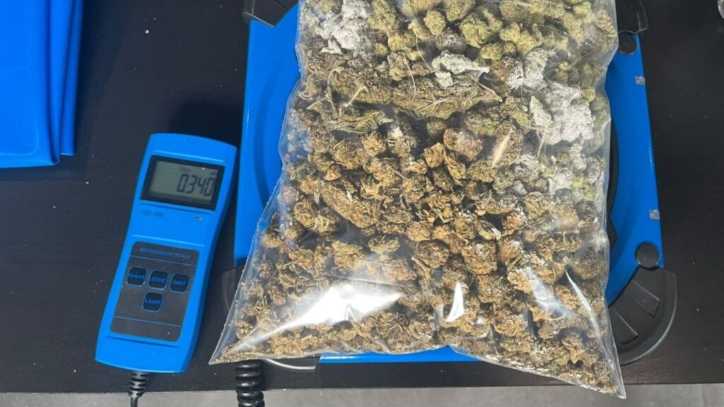Barselona'da Narkotik Darbesi: Les Corts'ta 21 Kg Uyuşturucuyla İki Kenevir Kulübü