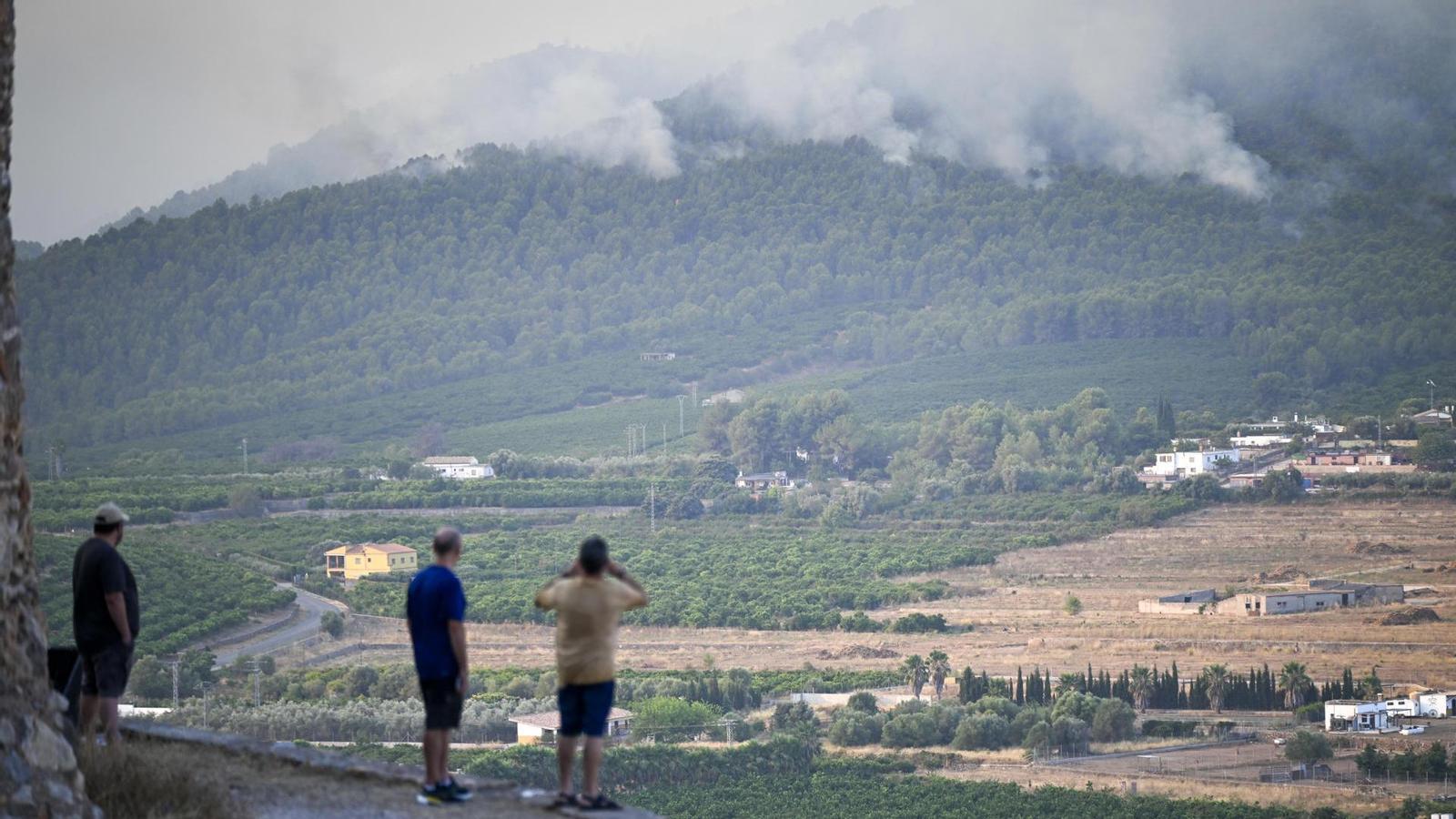 Valensiya'nın Yeşil Akciğeri Serra d'Espadà'da Büyük Yangın: Zamana Karşı Yarış