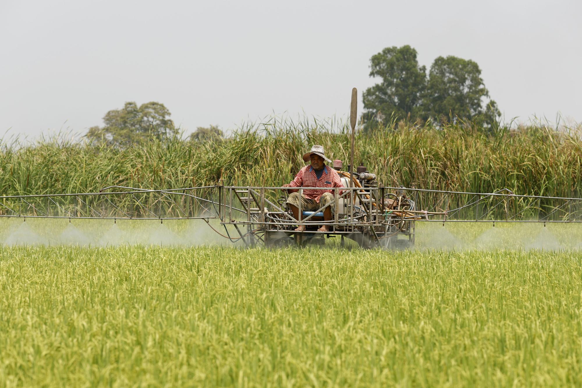 İran Gerilimi Asya'yı Gübresiz Bırakıyor: Küresel Gıda Güvenliği Tehdit Altında