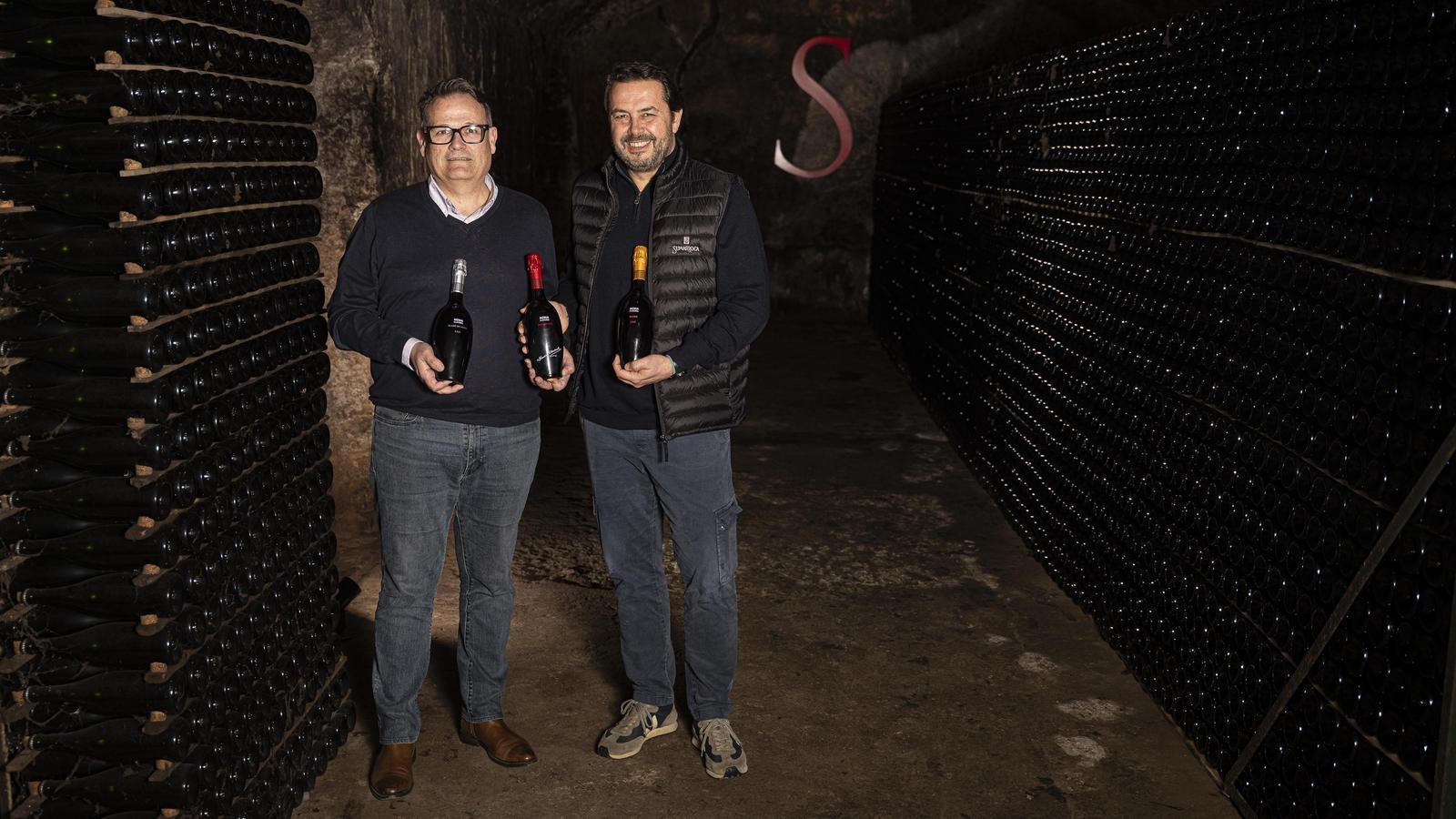 Katalan Cava'ları Zirvede: Sumarroca'dan Üç Şarap Prestijli Kategoriye Yükseldi