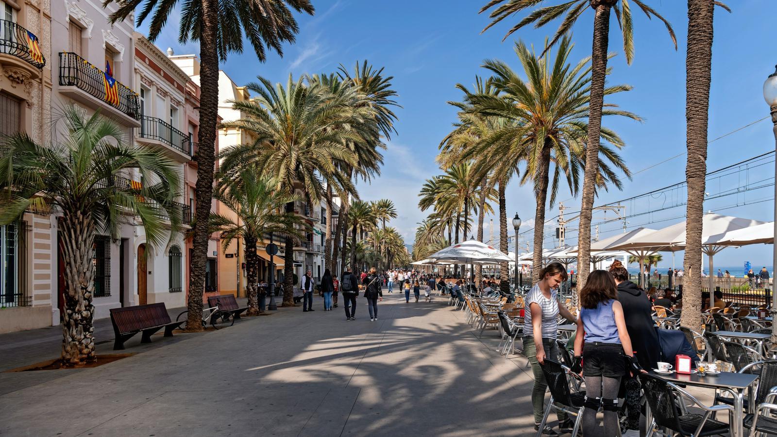 Badalona'dan Dev Güvenlik Hamlesi: 2027'ye Kadar 600'den Fazla Kamera