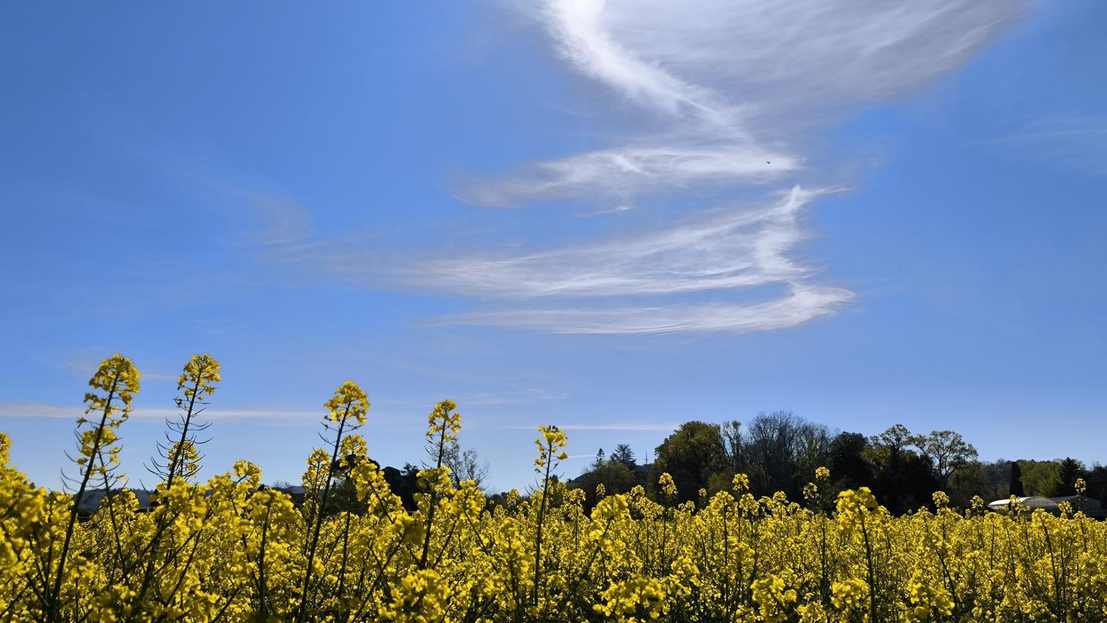 İspanya'da Olağanüstü Bahar Sıcakları: Mayıs Değerleri Nisan'a Taşındı