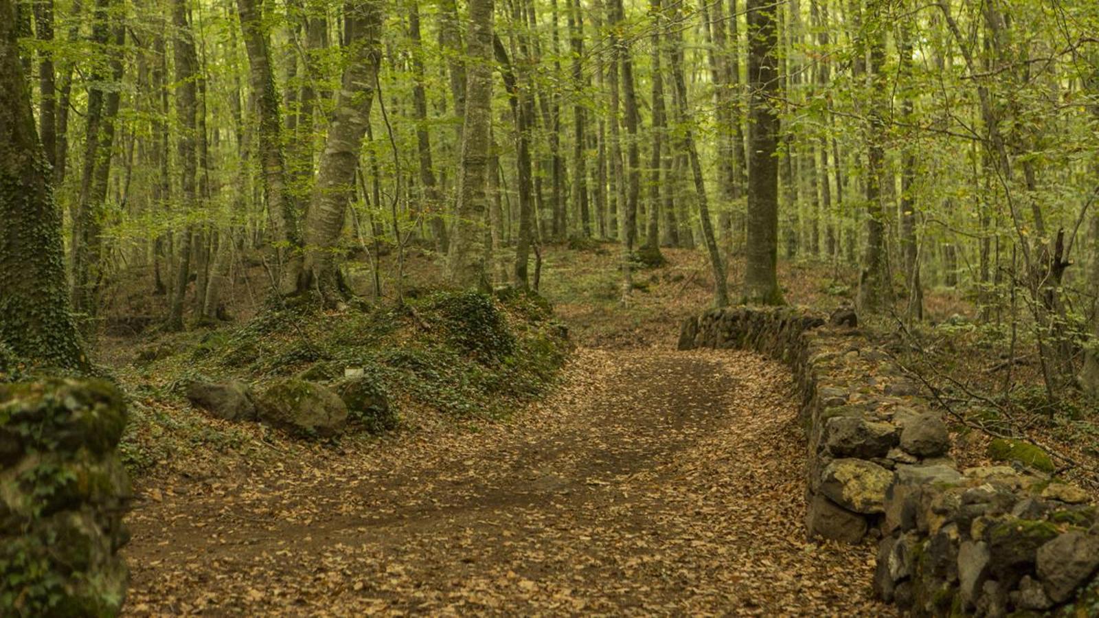 Katalonya'nın Kalbinde Bir Lezzet Yolculuğu: Garrotxa'da Sonbahar Gastronomisi
