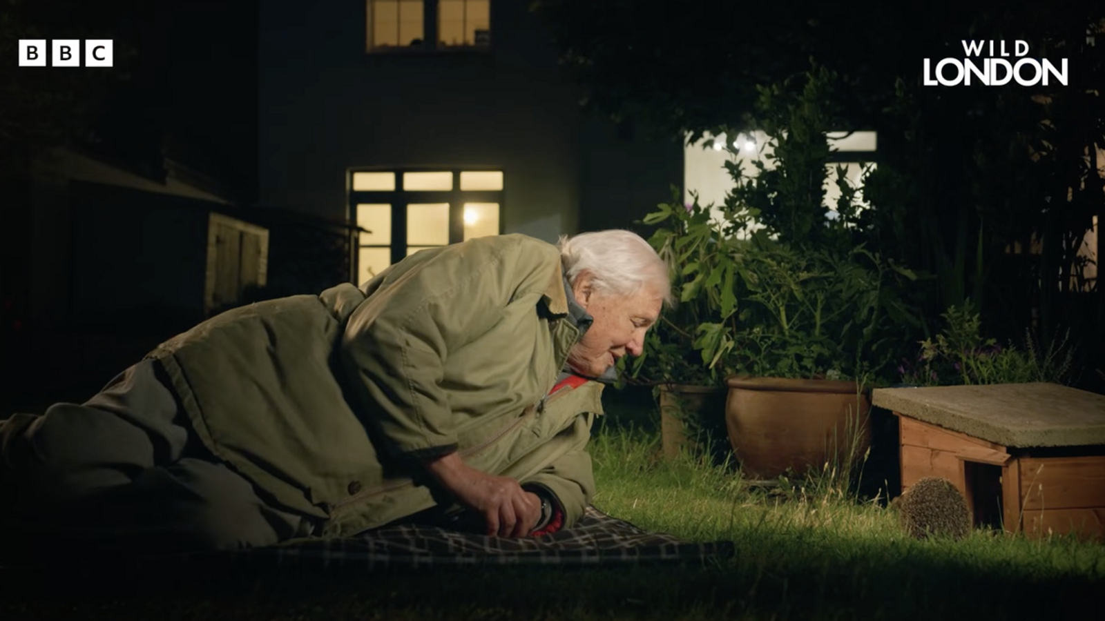 Sir David Attenborough'dan Yüzyıla Özel Belgesel: Londra'nın Gizli Doğası