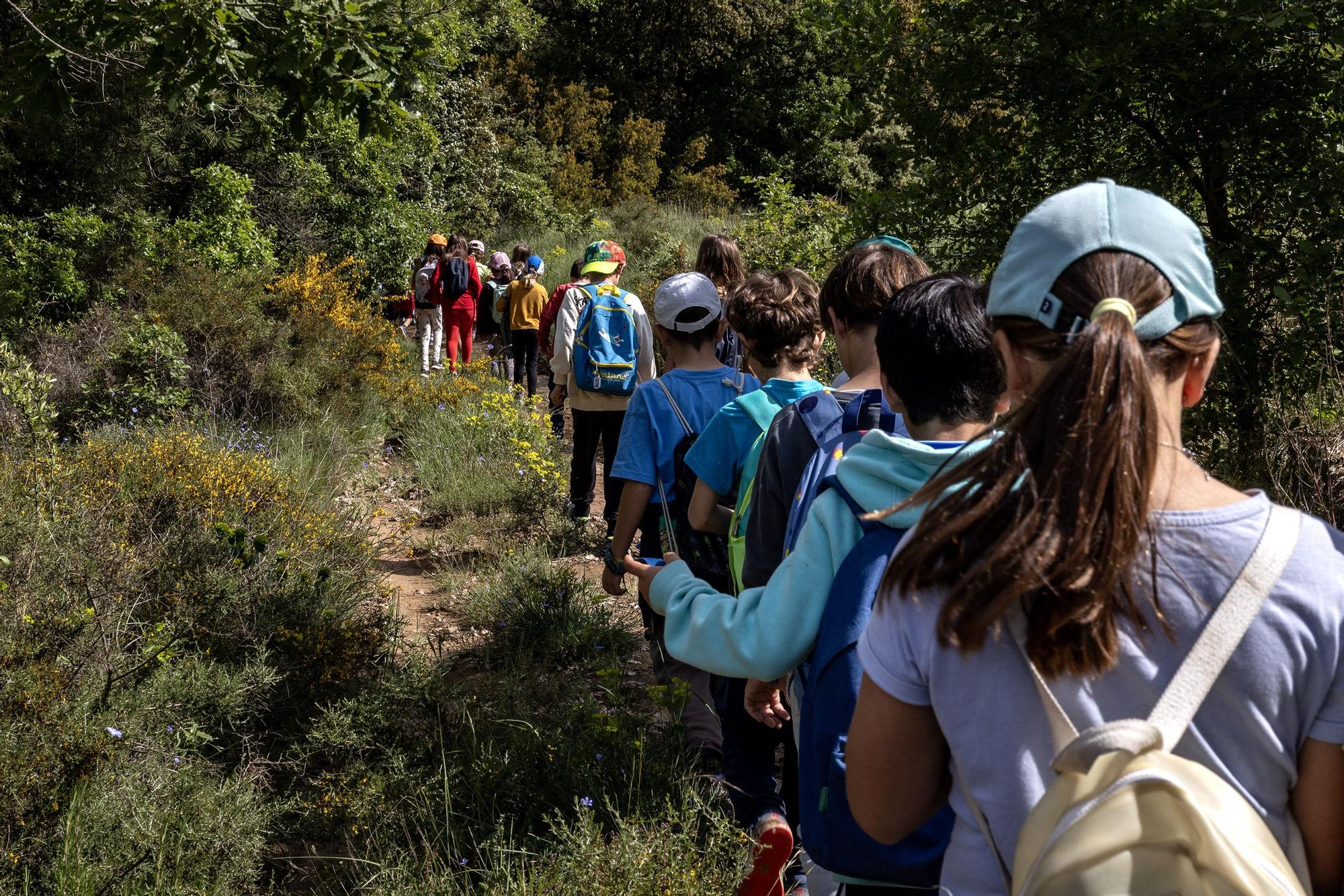 **Öğretmen Gönüllüsü Eksikliği: Katalonya'da Okul Kampları Tehlikede**
