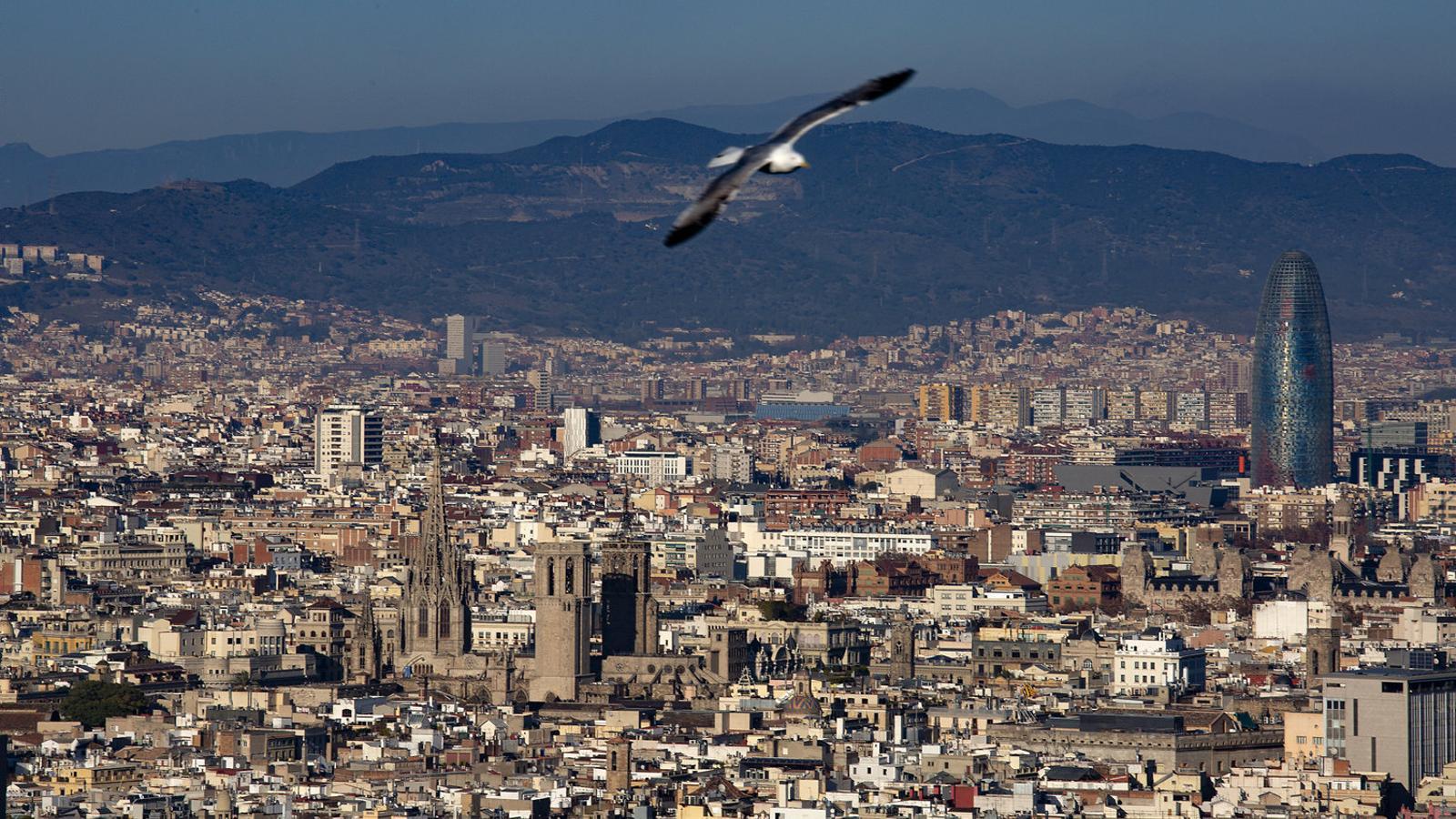 Katalonya'da Şirketler Konut Piyasasından Çekiliyor: 2025'e Doğru Hızlanan Eğilim