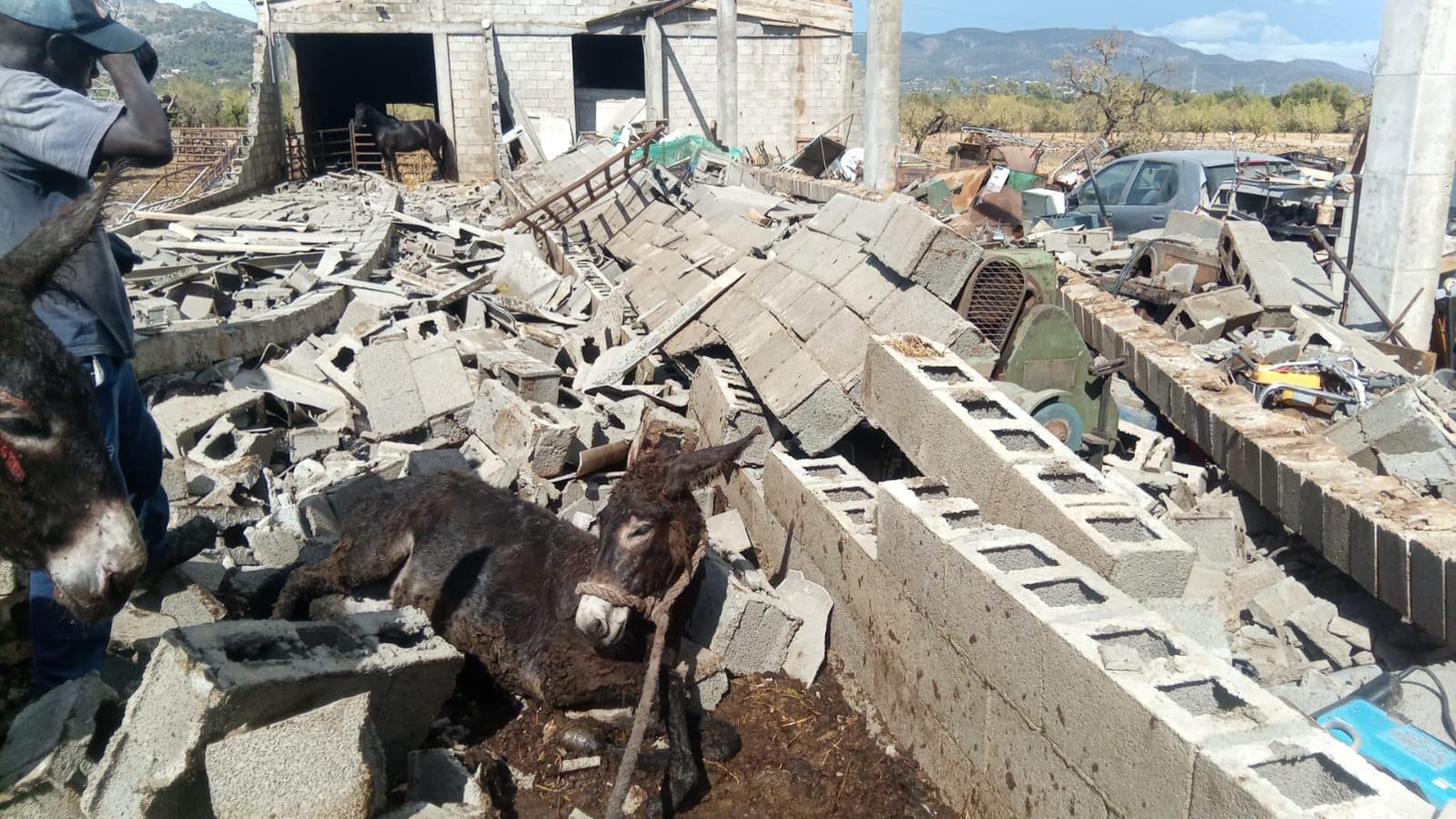 Balear Adaları'nda Hortum Felaketi: Son Sardina Çiftliği Harabeye Döndü