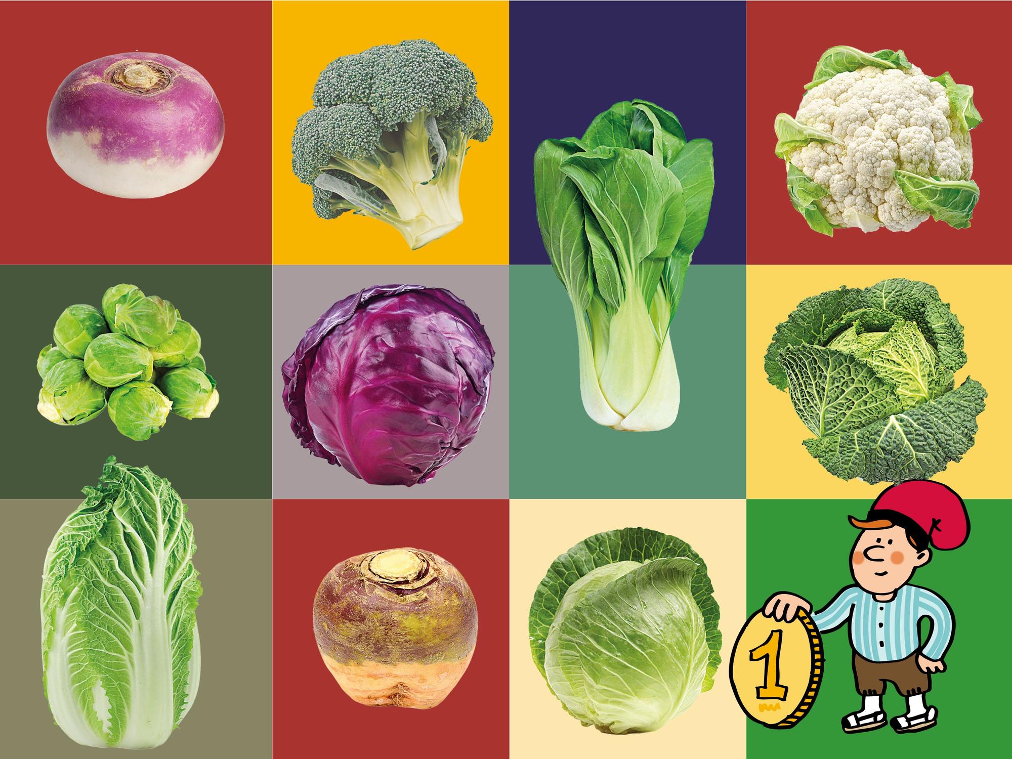 Sürpriz Kalsiyum Kaynağı: Şalgam ve Lahana Sütten Daha Zengin Çıktı!