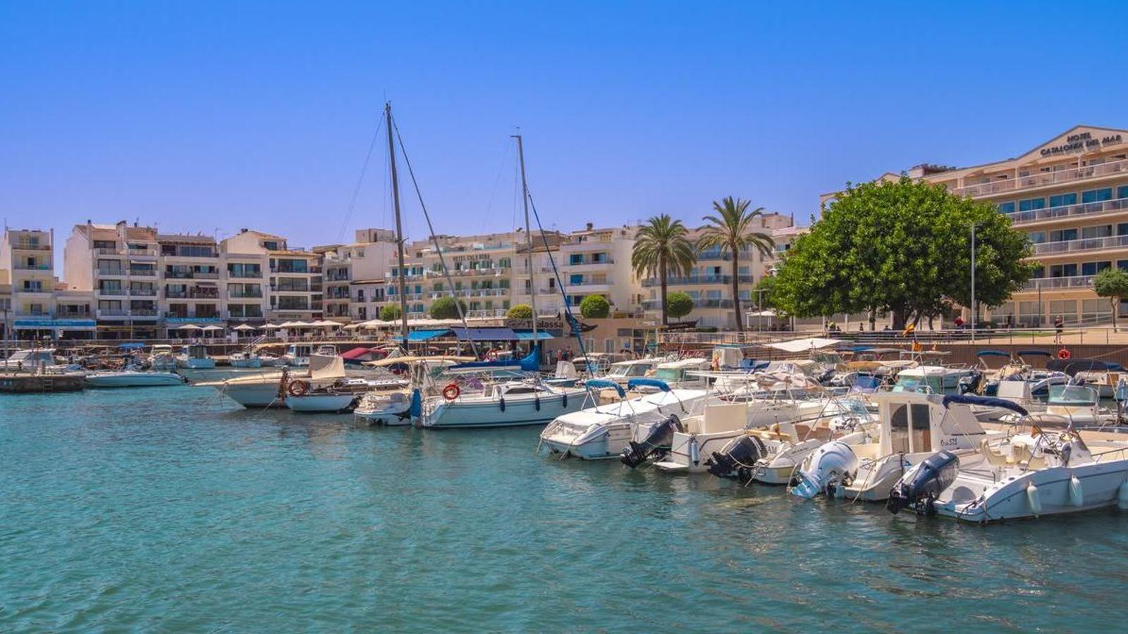 Mallorca Vebası Gizemi Çözüldü: Fareler Değil, İnsanlar Yaydı!