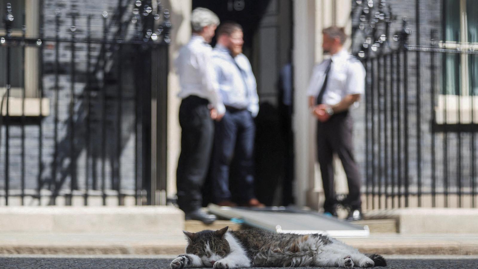 Downing Street'in En Ünlü Sakini Larry, Yeni Başbakanını Bekliyor