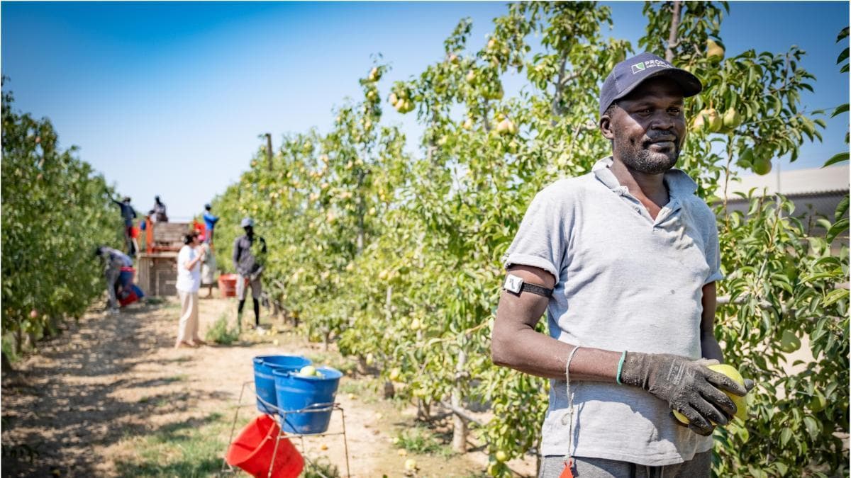Katalonya'da Göç Ajansı'nın Faaliyete Geçirilmesi İçin Uzmanlardan Çağ